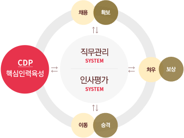 직무관리,인사평가:채용,확보, 이동,승격, 처우, 보상, cdp핵심인력육성 system